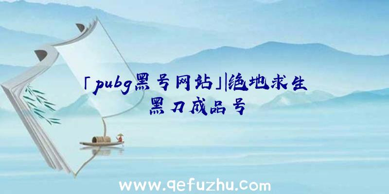 「pubg黑号网站」|绝地求生黑刀成品号